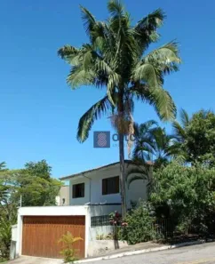 Casa com 3 Quartos à venda, 256m² no Sumarezinho, São Paulo