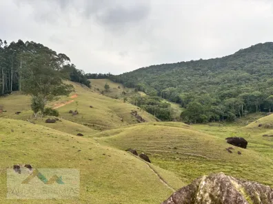 Fazenda/Sítio à venda, 44000m² no , Paulo Lopes