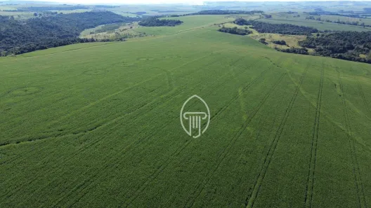 Fazenda/Sítio à venda, 6606600m² no Zona Rural, Cornélio Procópio