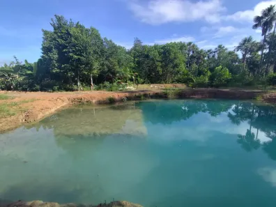Lote/Terreno à venda, 1000m² no Brasil Novo, Macapá
