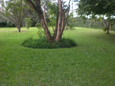Lote/Terreno à venda, 6657m² no Vila Santo Antônio, Cotia