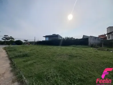 Lote/Terreno à venda, 533m² no Campeche, Florianópolis