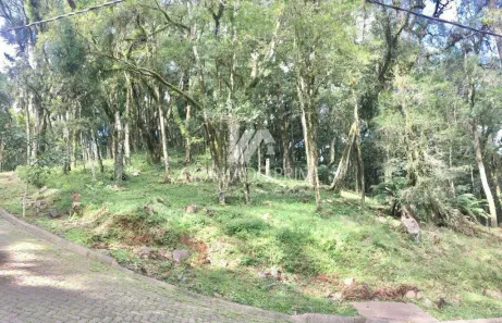 Lote/Terreno à venda, 1129m² no , Canela
