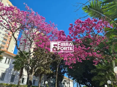 Apartamento com 3 Quartos à venda, 81m² no Ponte Preta, Campinas