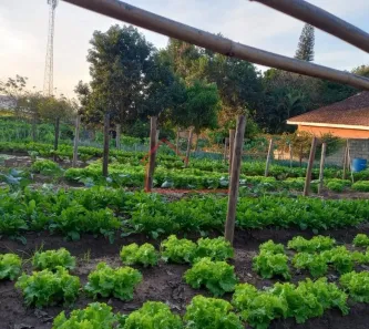 Lote/Terreno à venda, 1466m² no Village Campinas, Campinas