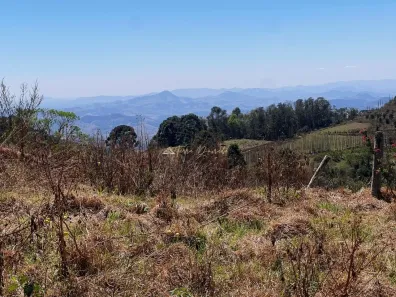 Lote/Terreno à venda, 121000m² no , Gonçalves