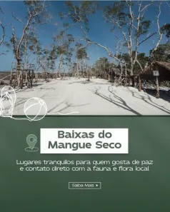 Lote/Terreno à venda, 200m² no , Jijoca de Jericoacoara