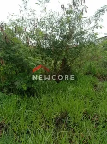 Lote/Terreno à venda, 1958m² no Jardim Itatinga, Campinas