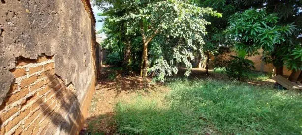 Lote/Terreno à venda, 253m² no Sumarezinho, Ribeirão Preto