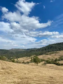 Fazenda/Sítio à venda, 910000m² no , Bocaina do Sul