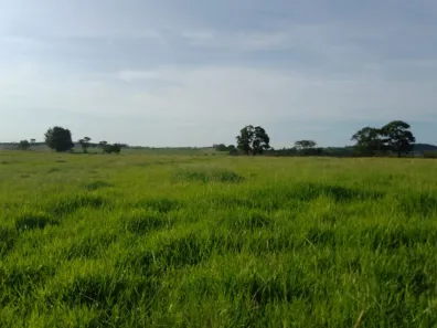 Fazenda/Sítio com 2 Quartos à venda, 60m² no Área Rural de Itapetininga, Itapetininga
