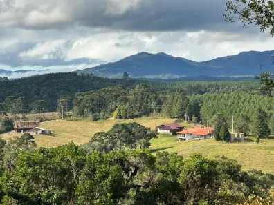 Lote/Terreno à venda, 20000m² no Laranjeiras, Campo Alegre