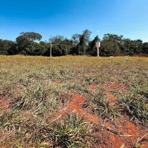 Fazenda/Sítio à venda, 48400m² no , Bela Vista de Goiás
