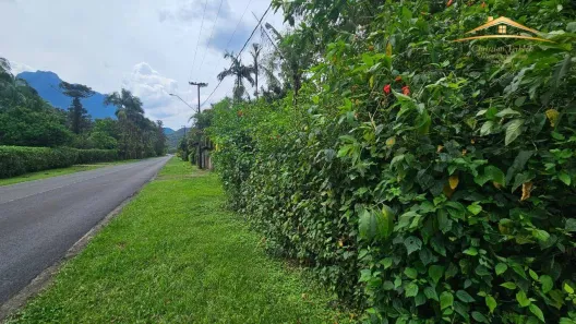 Lote/Terreno à venda, 20000m² no Porto de Cima, Morretes