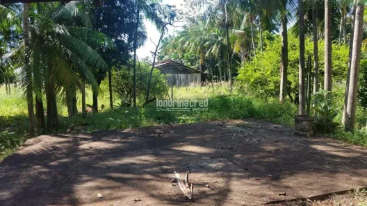 Lote/Terreno à venda, 4950m² no Jardim Rosicler, Londrina