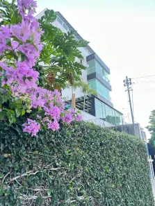 Cobertura com 4 Quartos à venda, 180m² no Todos os Santos, Montes Claros