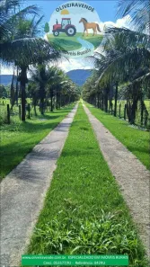 Fazenda/Sítio com 5 Quartos à venda, 960000m² no Boqueirão, Silva Jardim