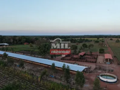 Fazenda/Sítio à venda, 1m² no , Aruanã