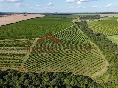Fazenda/Sítio à venda, 1m² no Área Rural de Avaré, Avaré