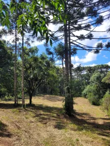 Lote/Terreno à venda, 25m² no Campo Alegre, Campo Alegre