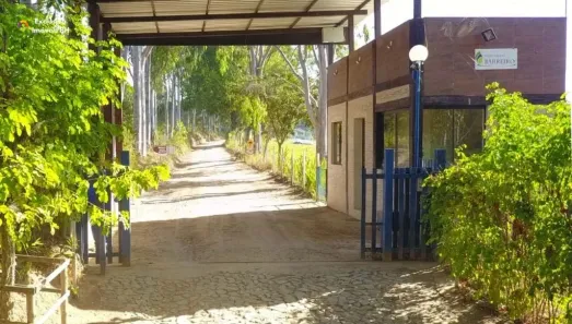 Fazenda/Sítio à venda, 2000m² no Bom Pastor, Divinópolis