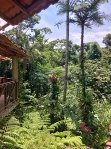 Fazenda/Sítio com 3 Quartos à venda, 135m² no Acaraú, Ubatuba