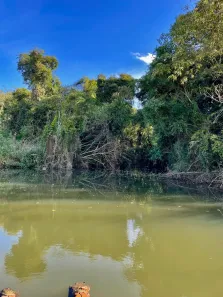 Fazenda/Sítio à venda, 25000m² no , Campo Alegre