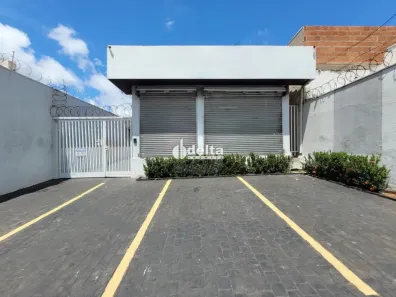 Ponto Comercial com 3 Quartos para alugar, 300m² no Martins, Uberlândia
