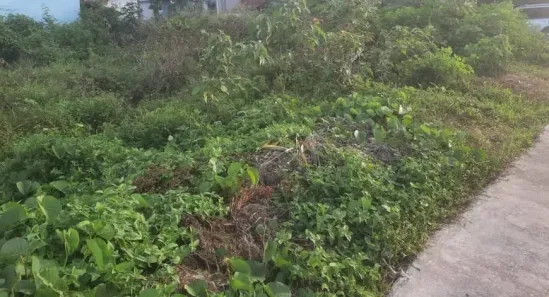 Lote/Terreno à venda, 425m² no Maracaipe, Ipojuca