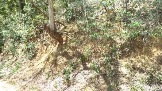 Lote/Terreno à venda, 494m² no Engenho do Mato, Niterói