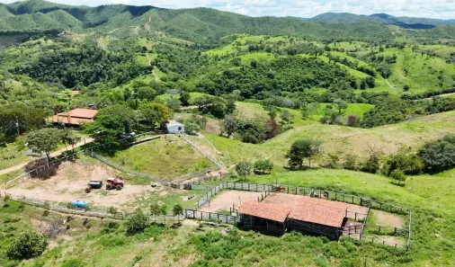 Fazenda/Sítio à venda, 300m² no , Padre Bernardo