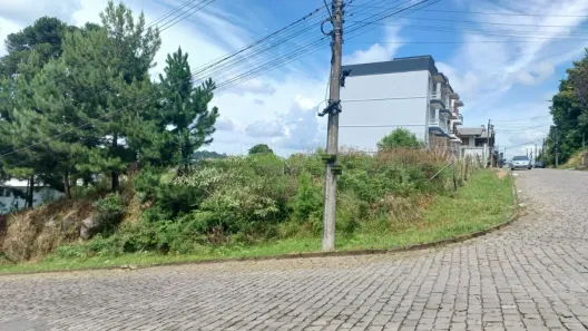 Lote/Terreno à venda, 449m² no Tijuca, Caxias do Sul