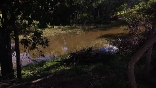 Fazenda/Sítio com 3 Quartos à venda, 11m² no Setor Central, Israelândia