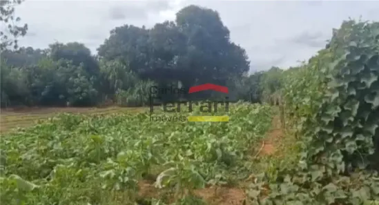 Lote/Terreno à venda, 1800m² no Centro, Franco da Rocha