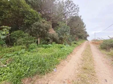 Lote/Terreno à venda, 4932m² no São João do Rio Vermelho, Florianópolis