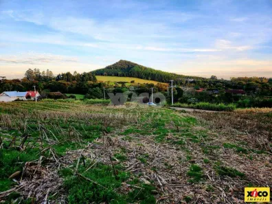 Lote/Terreno à venda, 1935m² no Pinhal Alto, Nova Petrópolis