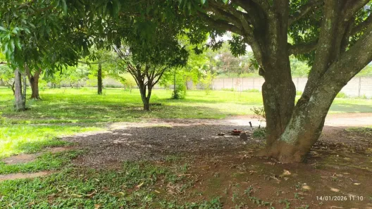 Fazenda/Sítio com 6 Quartos à venda, 2300m² no Ponte Alta Norte, Brasília