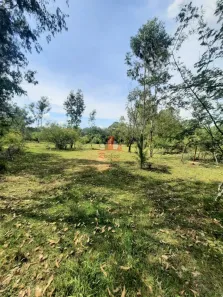 Fazenda/Sítio à venda, 20m² no Vicentina, São Leopoldo