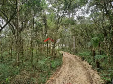Fazenda/Sítio à venda, 20000m² no Bateias, Campo Largo