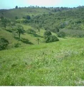 Fazenda/Sítio com 5 Quartos à venda, 2033900m² no , Itanagra