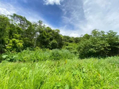 Lote/Terreno à venda, 287m² no Jamaica - Interior, Itanhaém