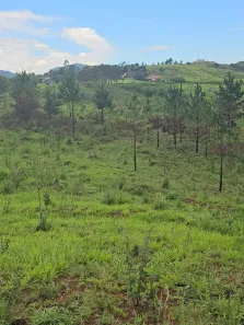 Lote/Terreno à venda, 66000m² no Jardim Novo Mundo, Poços de Caldas
