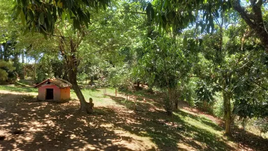 Fazenda/Sítio com 2 Quartos à venda, 120m² no Chácaras Santo Antonio do Jardim, Jaguariúna