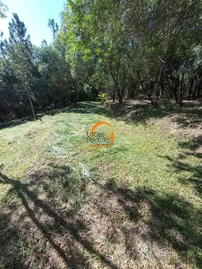 Lote/Terreno à venda, 20000m² no Parque Fernão Dias, Atibaia