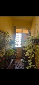 Apartamento com 1 Quarto à venda, 73m² no Flamengo, Rio de Janeiro
