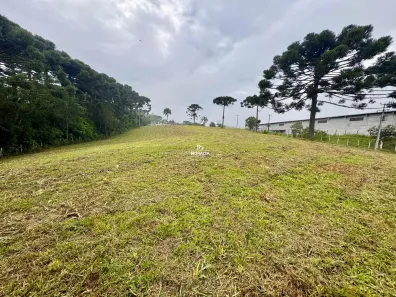 Fazenda/Sítio à venda, 36000m² no Campo Largo da Roseira, São José dos Pinhais