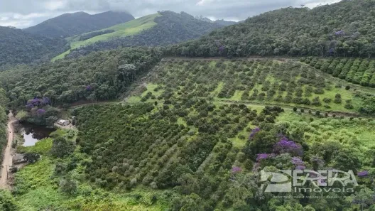 Fazenda/Sítio à venda, 71259m² no , Sumidouro