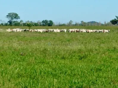 com 3 Quartos à venda, 680m² no Área Rural de Cuiabá, Cuiabá