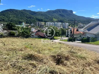 Lote/Terreno à venda, 961m² no Pedra Branca, Palhoça