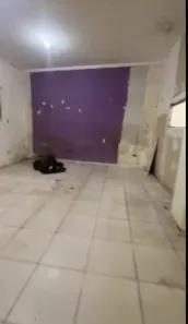 Ponto Comercial para alugar, 135m² no Jardim Floresta, São Paulo